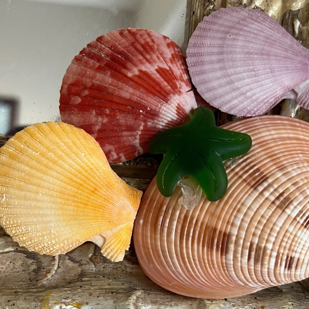 Antique Mirror Coastal Decor Colorful Shells Glass Starfish Handmade 12 x 12